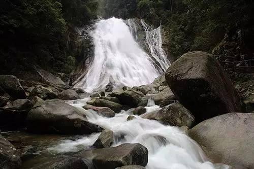 逃出猫头鹰岛